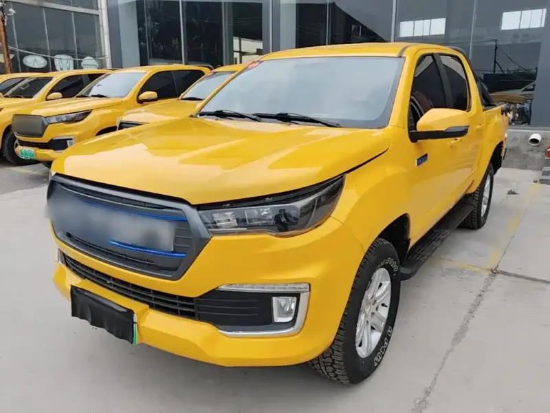 Foton EV, 2021