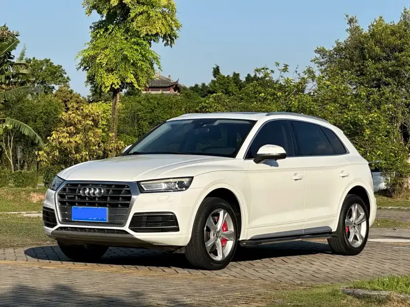 Audi Q5L, 2019