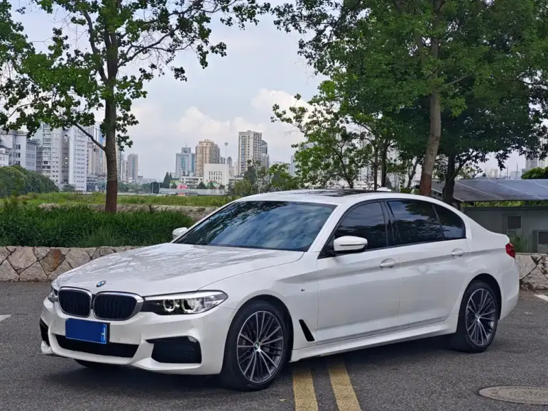 BMW 5 Series, 2019