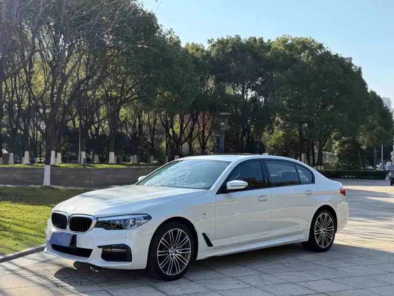 BMW 5 Series, 2019