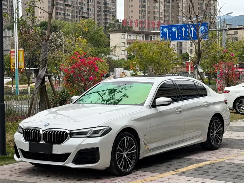 BMW 5 Series, 2021