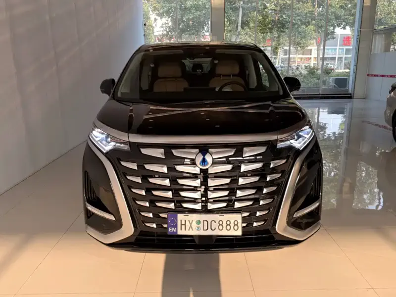 Denza D9, 2025
