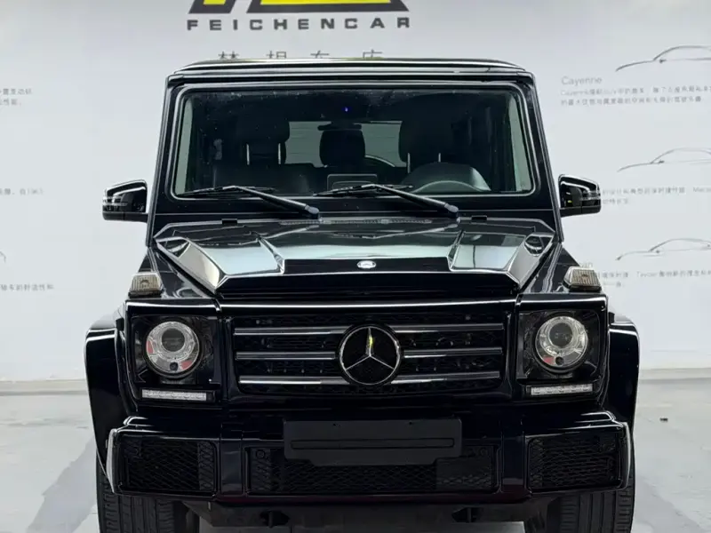 Mercedes-Benz G-Class, 2017 — фото 1