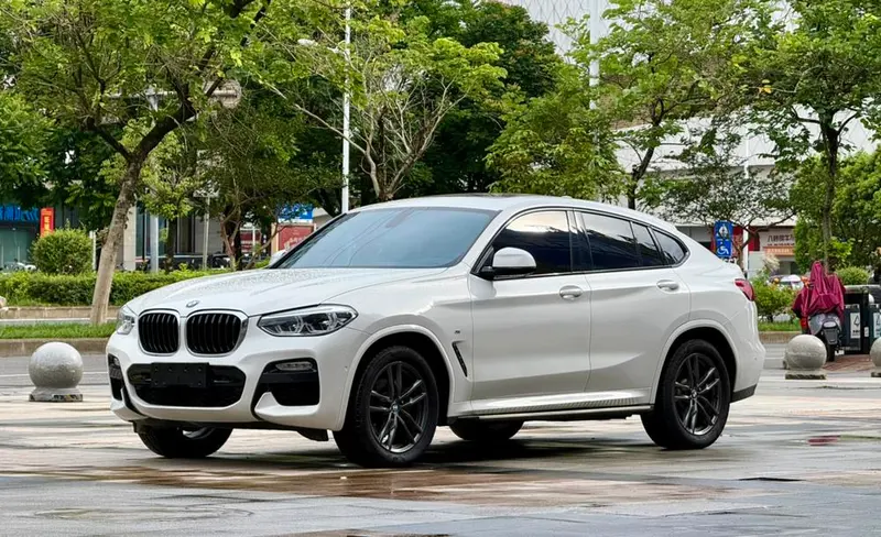 BMW X4 xDrive25i M Sport, 2019 — фото 1