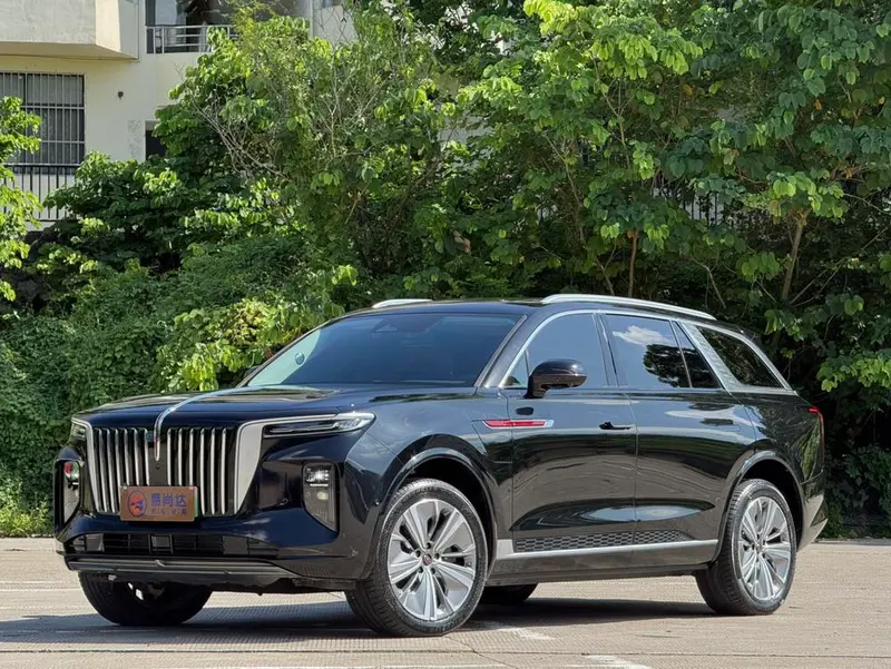 Hongqi E-HS9 660km Smooth Edition 6-Seater, 2022 — фото 1
