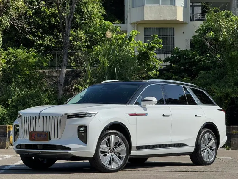 Hongqi E-HS9 660km Smooth Edition 6-Seater, 2022 — фото 1