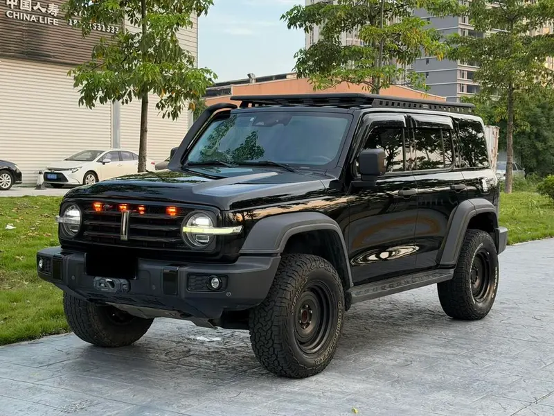 Tank 300, 2021