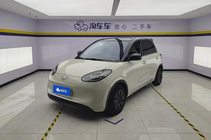 Wuling Bingo, 2024