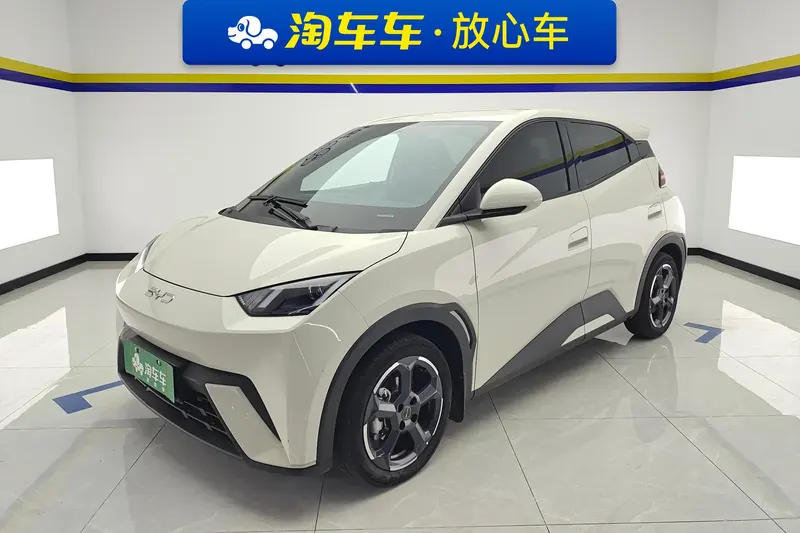 BYD Seagull Glory Edition 305KM Edition, 2024 — фото 1