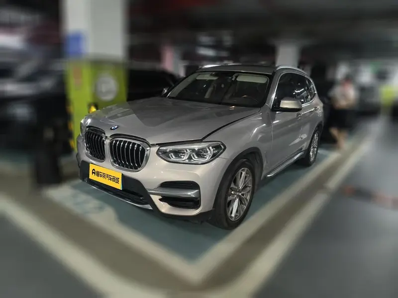BMW X3 xDrive25i Luxury, 2021 — фото 1