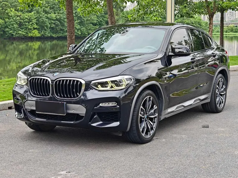 BMW X4 xDrive25i M Offroad, 2019 — фото 1