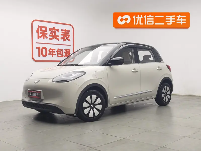 Wuling Bingo, 2024