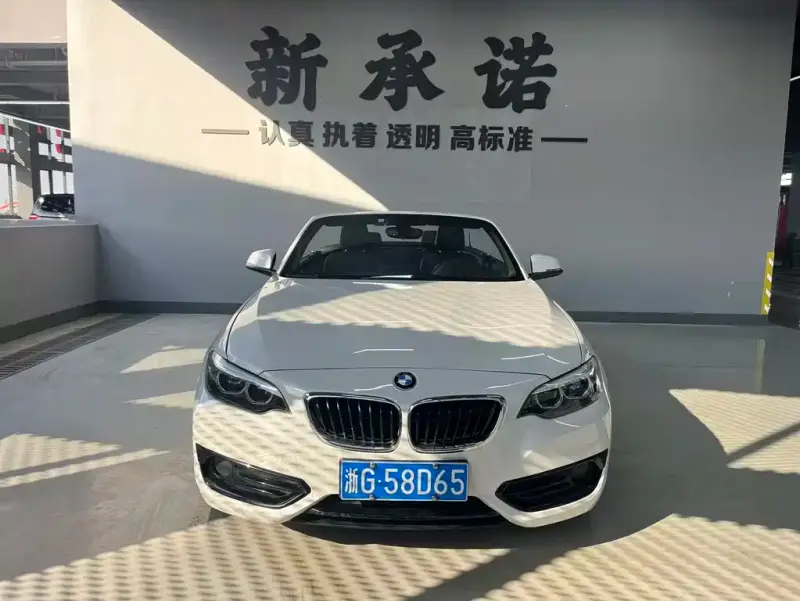 BMW 2 Series (Import), 2018 — фото 1