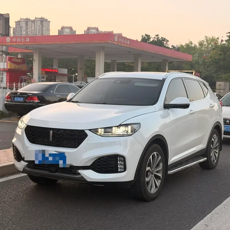 Wey VV6, 2018