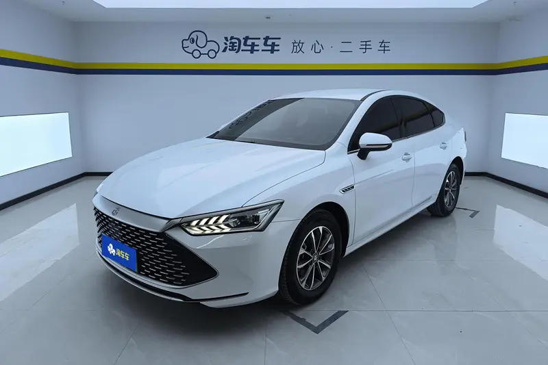 BYD Qin PLUS DM Glory Edition DM-i 55KM Leading Version, 2024 — фото 1
