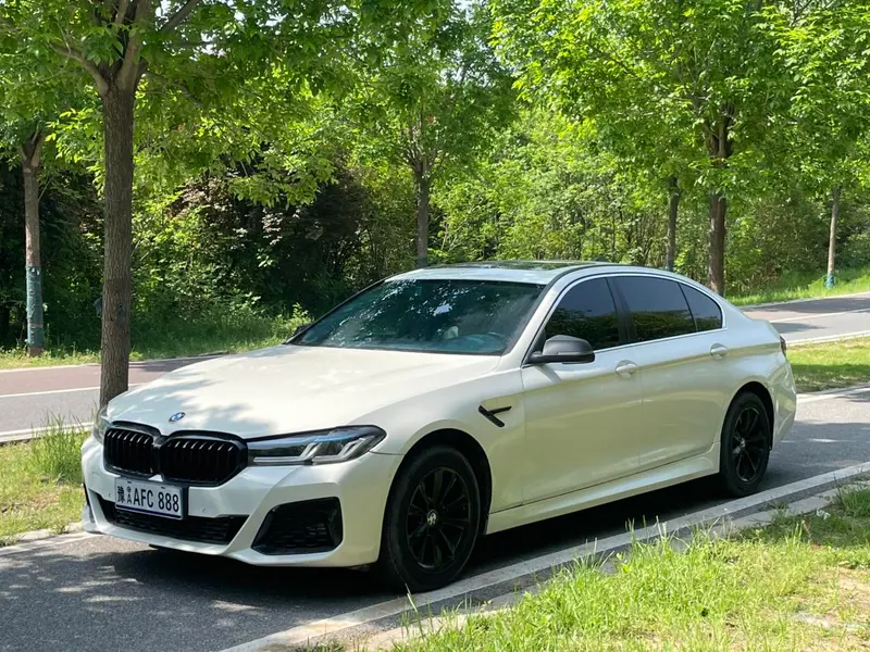 BMW 5-Series, 2014