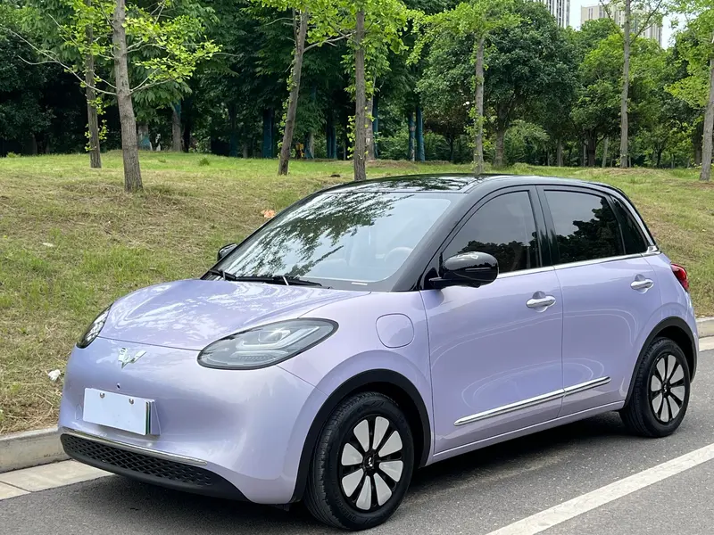 Wuling Bingo, 2025
