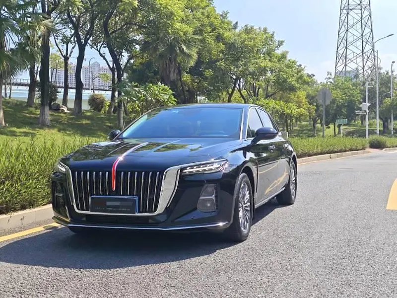 Hongqi H5, 2024