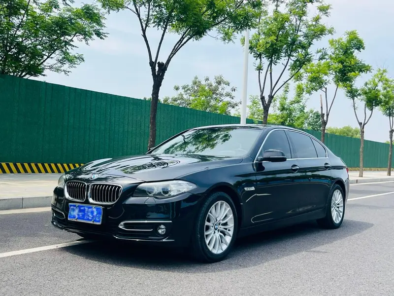 BMW 5-Series 525Li Luxury, 2014 — фото 1