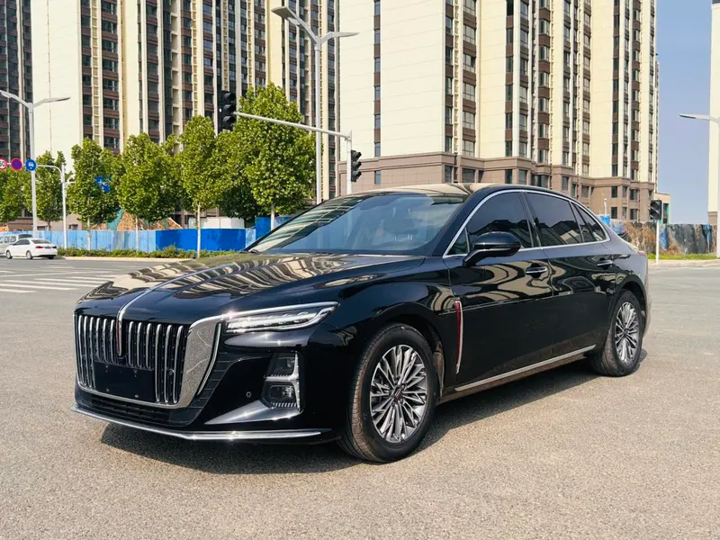 Hongqi H5, 2024
