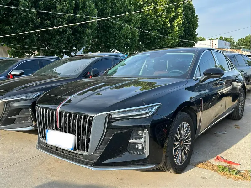 Hongqi H5, 2025