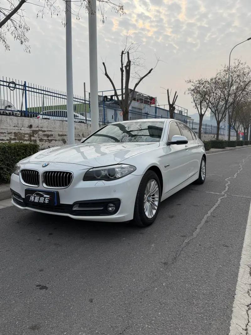 BMW 5-Series 525Li Leading Version, 2014 — фото 1