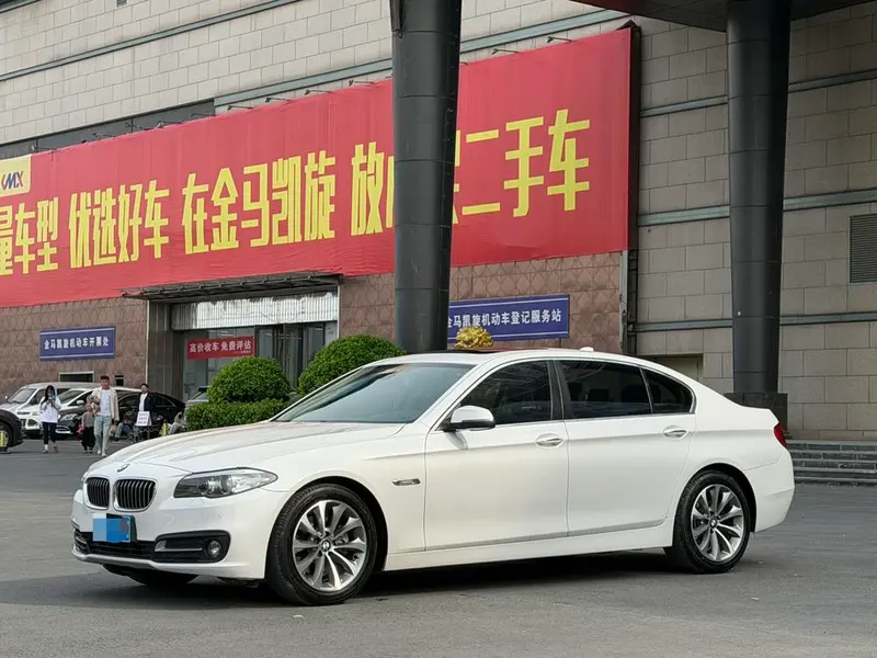 BMW 5-Series 525Li Leading Version, 2017 — фото 1
