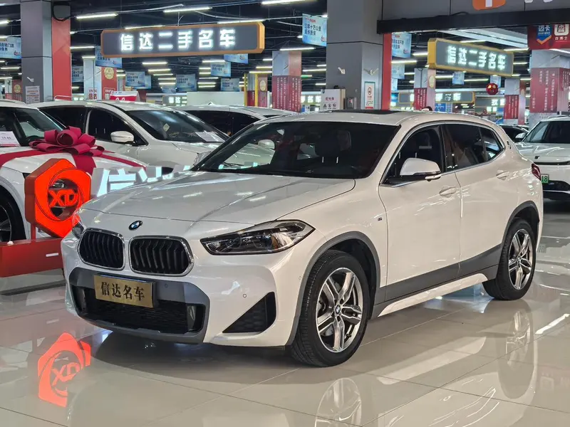 BMW X2 sDrive25i Leading Version M Offroad, 2020 — фото 1