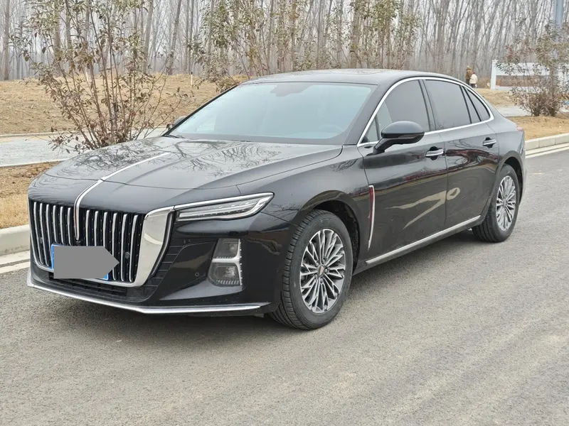 Hongqi H5 2.0T Auto Smart Connected Edition, 2024 — фото 1