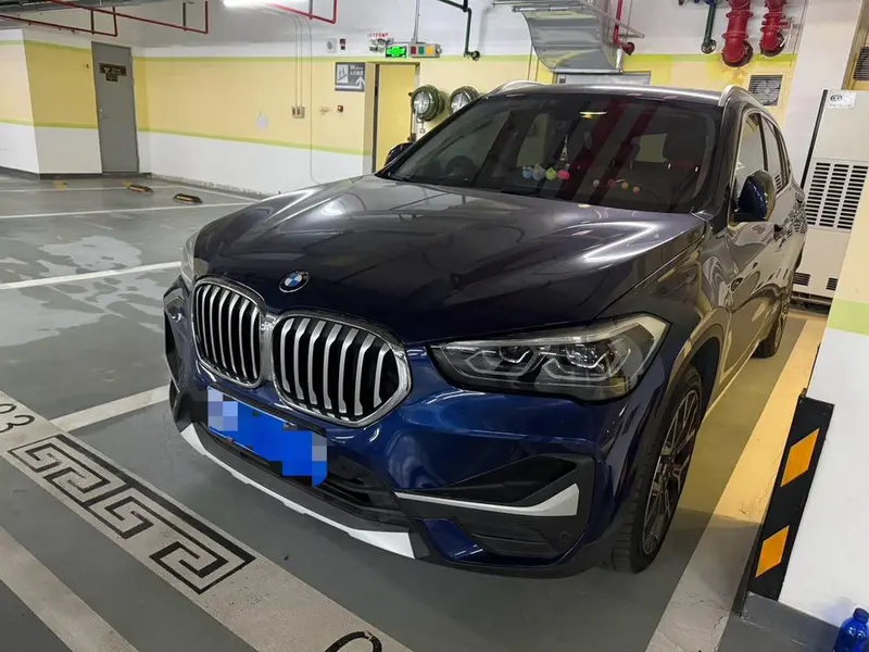 BMW X1 xDrive25Li Prestige Version, 2020 — фото 1