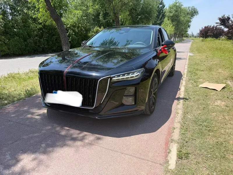 Hongqi H5 2.0T Auto Edition, 2025 — фото 1