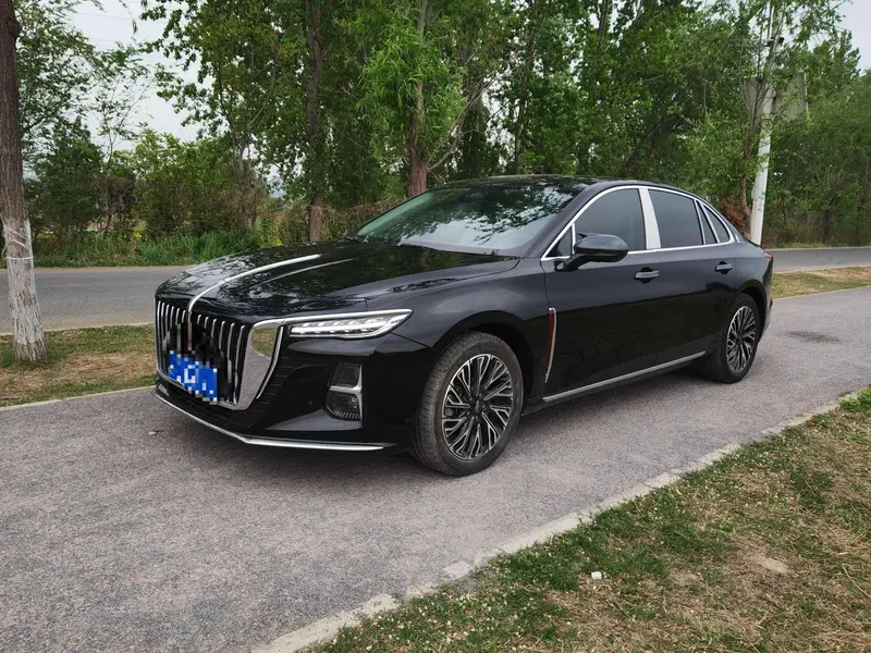Hongqi H5 2.0T Auto Smooth Edition, 2025 — фото 1