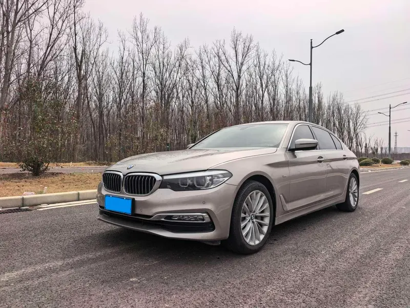 BMW 5-Series 530Li Leading Version Luxury, 2018 — фото 1