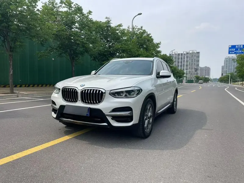 BMW X3 xDrive28i Luxury, 2019 — фото 1