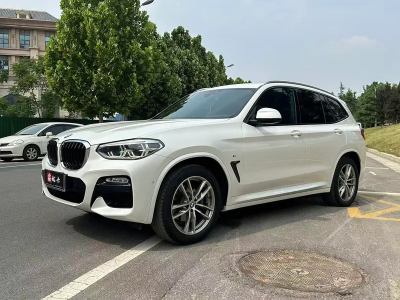 BMW X3 xDrive25i M Sport CN6, 2018 — фото 1