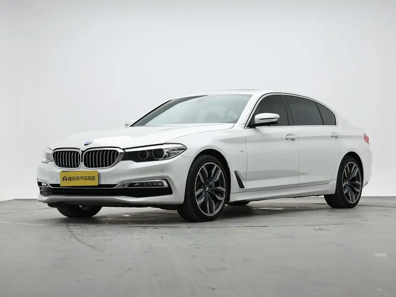 BMW 5-Series 530Li Leading Version Luxury, 2018 — фото 1
