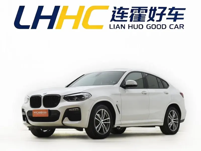 BMW X4 xDrive25i M Sport, 2019 — фото 1