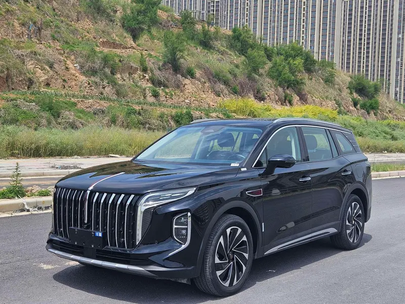 Hongqi HS7 PHEV 2.0T 4WD Smooth Edition 6 Seater, 2024 — фото 1