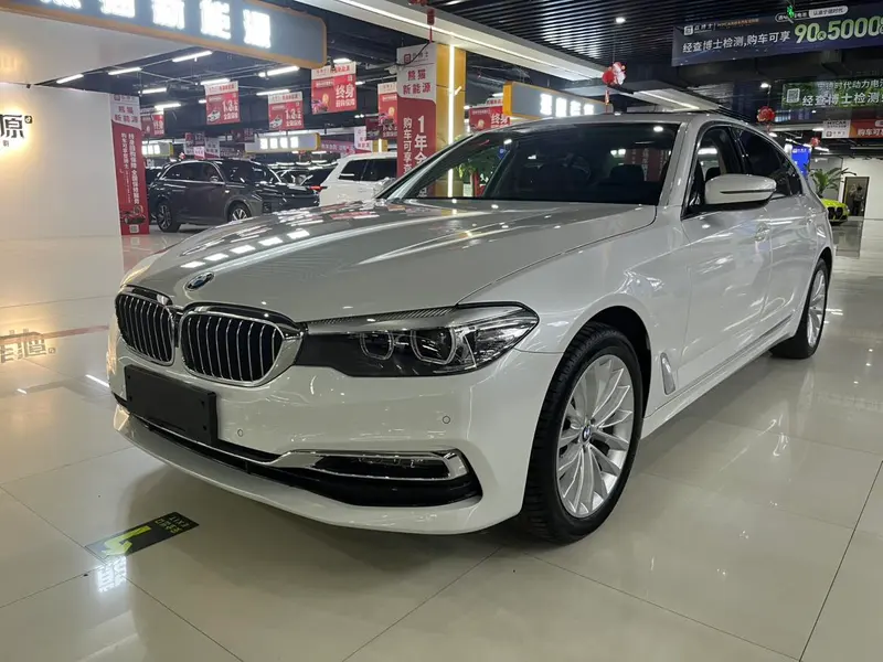 BMW 5-Series 525Li Luxury, 2019 — фото 1