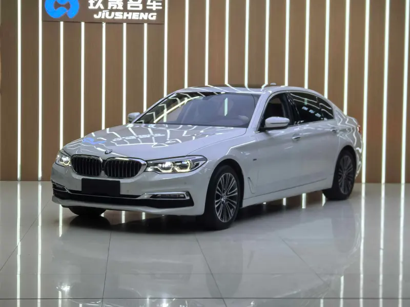 BMW 5-Series Facelift 530Li Prestige Version Luxury, 2018 — фото 1