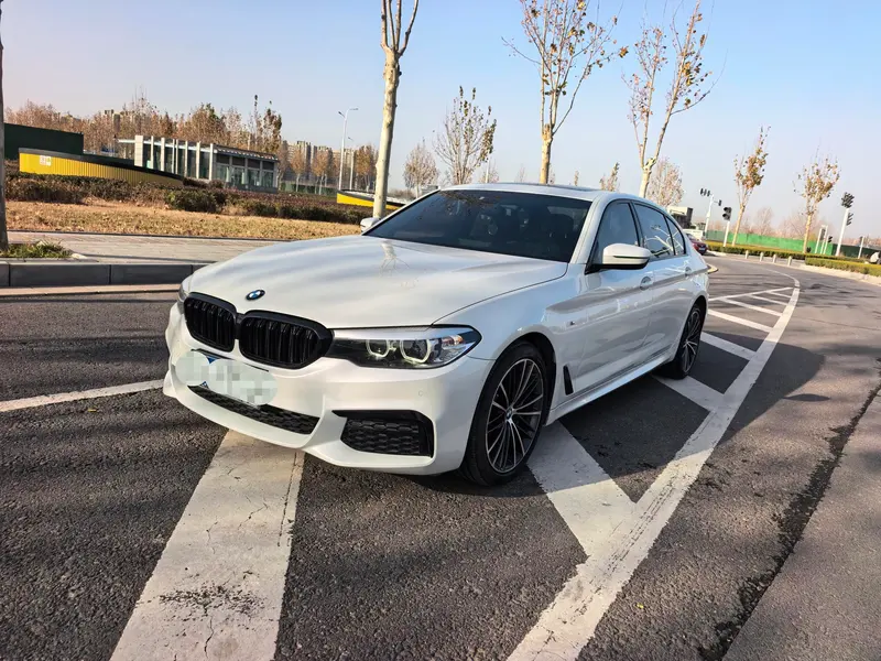 BMW 5-Series Facelift 530Li Leading Version M Sport, 2019 — фото 1