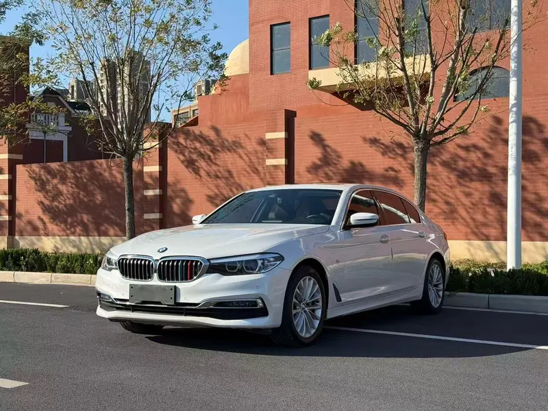 BMW 5-Series 530Li Leading Version Luxury, 2019 — фото 1