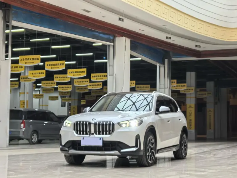 BMW X1 xDrive25Li X, 2023 — фото 1