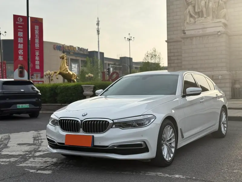 BMW 5-Series 530Li Leading Version Luxury, 2020 — фото 1