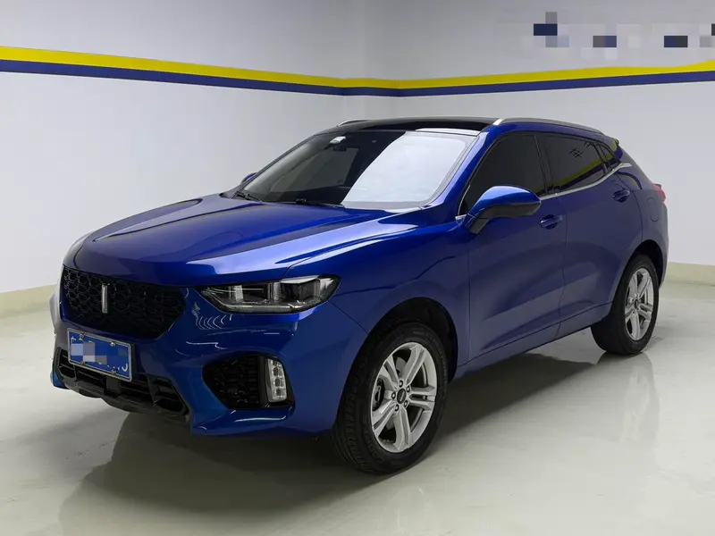 Wey VV5, 2019