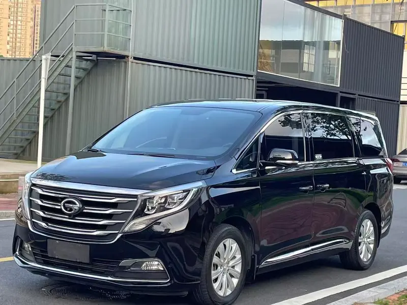 GAC Trumpchi Trumpchi M8 320T Prestige Edition, 2018 — фото 1
