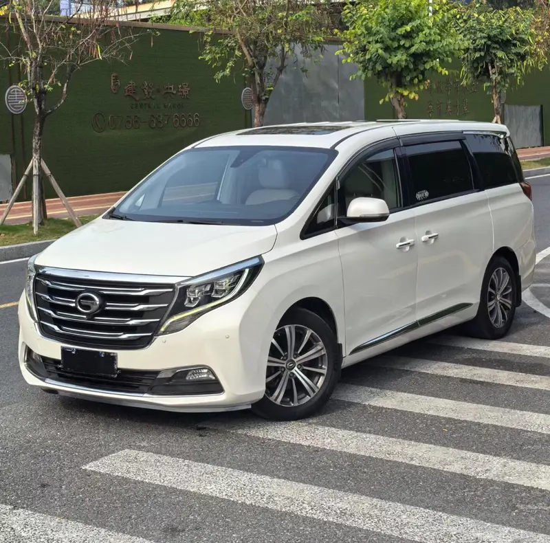 GAC Trumpchi Trumpchi M8 320T Premium Edition, 2018 — фото 1