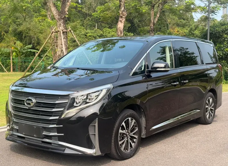 GAC Trumpchi Trumpchi M8 Series 390T Prestige Edition, 2023 — фото 1