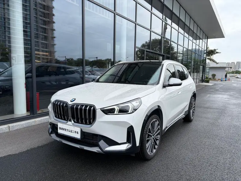 BMW X1 xDrive25Li X, 2023 — фото 1