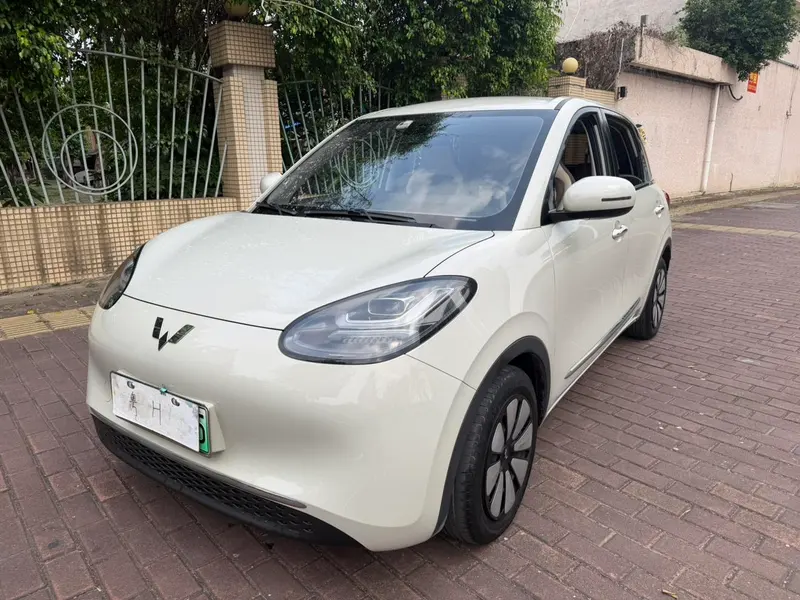 Wuling Bingo, 2023